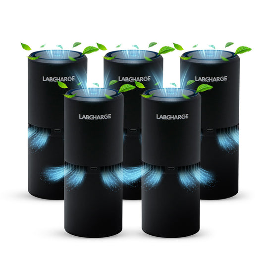 LabCharge Small Ionic Air Purifier, Silent, 250 Sq Ft, 5-Pack